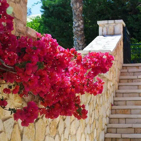 Luxury Lemonia With Private Pool *